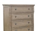 Bedroom Chest 1pc Wire Brushed Gray Finish Birch Veneer Drawers with Ball Bearing Glides Transitional Furniture