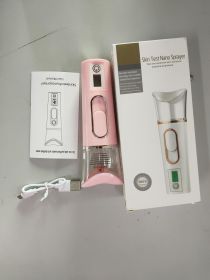 Hand-Held Skin Test Moisturizer Facial Humidifier (Option: 2)