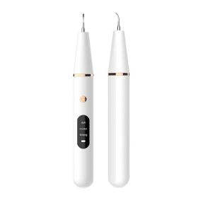 Dental Scaler Ultrasonic Cleaning To Remove Dental Calculus (Option: White-USB)